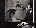 McDermott & McGough: Dodo Bird, Dublin, Ireland, 1996 